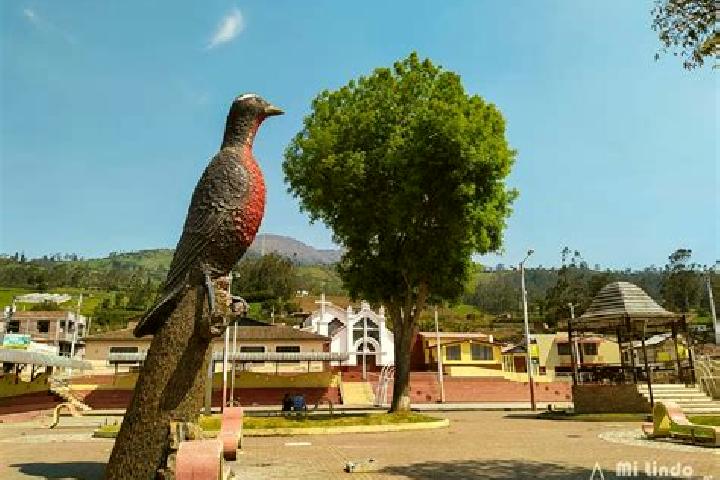 Riley, 25 — Escort in Quimiag, Ecuador