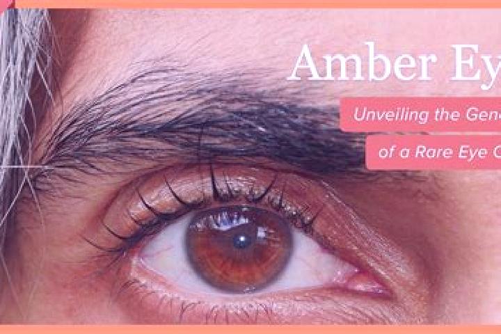 Riley, 26, a red amber-eyed european companion based in Lions Bay. Offering Girlfriend Experience, 69, Striptease, Dinner Date, Massage. Available for incall...