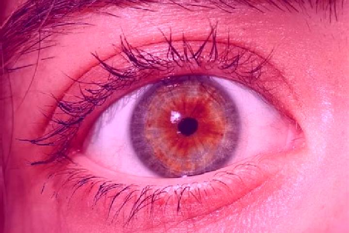 Riley, 26, a red hazel-eyed mediterranean companion based in Salmon Creek. Offering Tantra, Striptease, GFE, 69. Available for incall and outcall, day and ev...