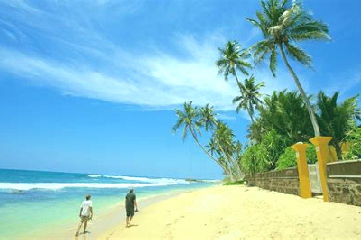 Riley, 26 — Escort in Ekkassa, Sri Lanka