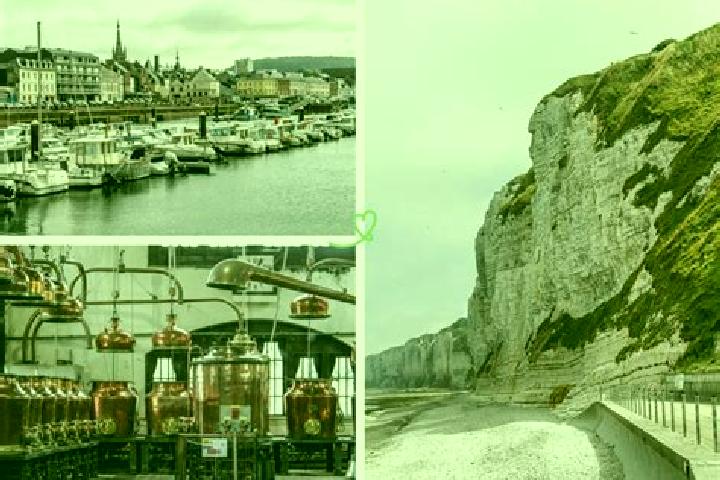 Riley, 26 — Escort in Fecamp, France