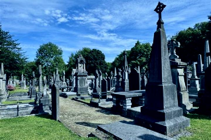 Riley, 26 — Escort in Glasnevin, Ireland