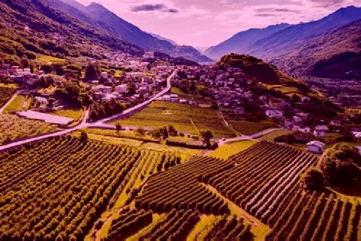 Riley, 27, a auburn hazel-eyed mixed companion based in Montagna in Valtellina. Offering 69, Prostate Massage, BDSM, Girlfriend Experience. Available for inc...