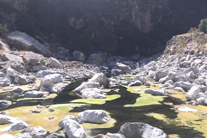 Riley, 27 — Escort in La Barranca, Mexico