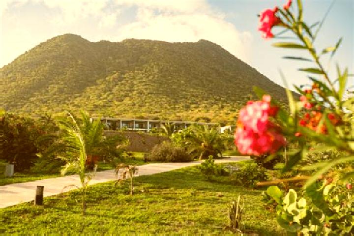 Riley, 28 — Escort in Golden Rock, Bonaire