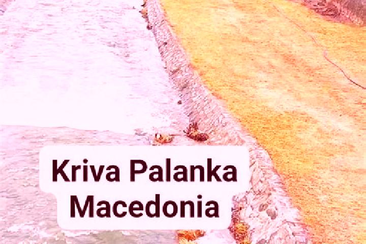 Riley, 28 — Escort in Palanka, Ukraine