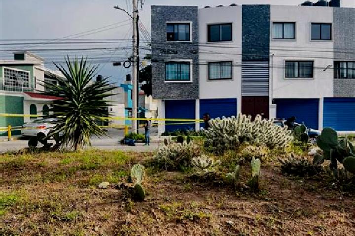 Riley, 28 — Escort in Parque de Poblamiento Solidaridad, Mexico