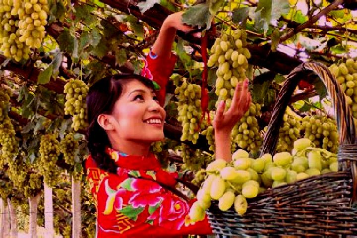 Riley, 28 — Escort in Xuanhua, China