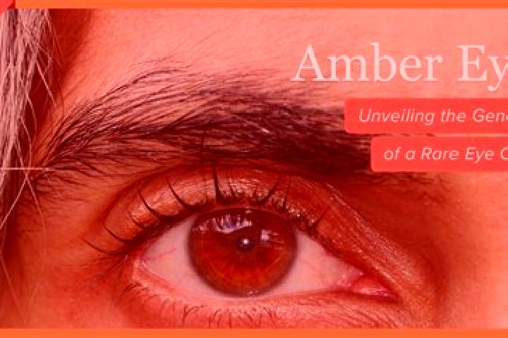 Riley, 29, a black amber-eyed indian companion based in Jinzhou. Offering Dinner Date, Domination. Available for incall and outcall, day and evening dates.