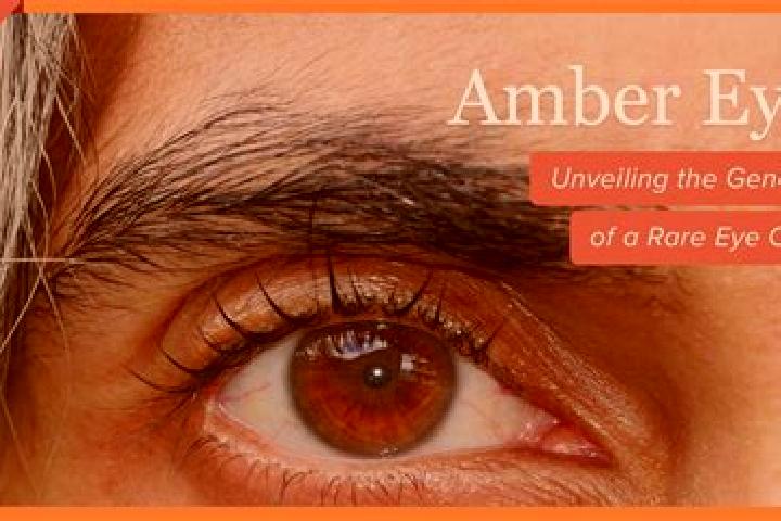 Riley, 29, a black amber-eyed middle eastern companion based in Gosdorf. Offering Tantra, Dinner Date, Fetish, Domination. Available for incall and outcall, ...