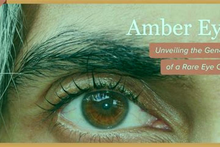 Riley, 29, a red amber-eyed caribbean companion based in Baquerin de Campos. Offering Duos, 69, BDSM, Erotic Massage, CIM. Available for incall and outcall, ...