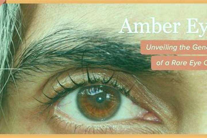 Riley, 29, a red amber-eyed caribbean companion based in Zhaoxian. Offering 69, Couples, Girlfriend Experience, Dinner Date. Available for incall and outcall...