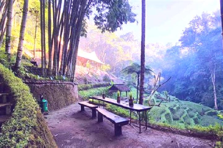Riley, 29 — Escort in Delod Pangkung, Indonesia