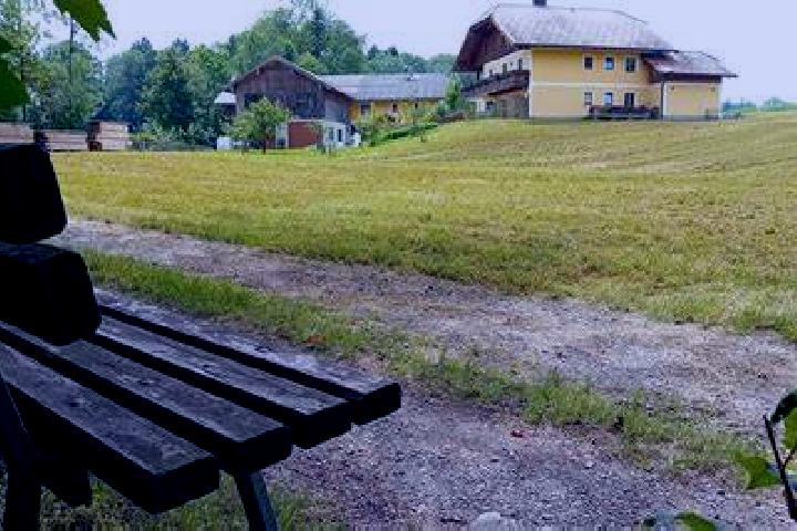 Riley, 29 — Escort in Eugendorf, Austria