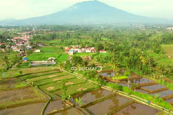 Riley, 29 — Escort in Karangtengah, Indonesia