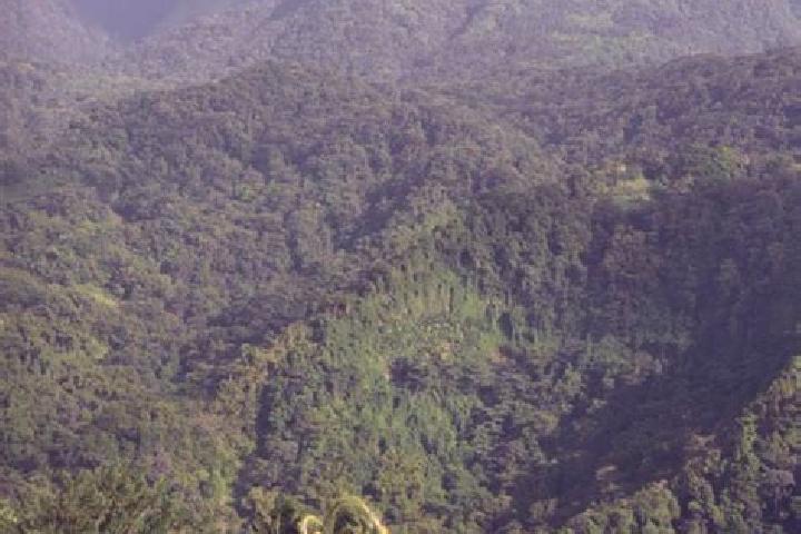 Riley, 29 — Escort in L Ajoupa-Bouillon, Martinique