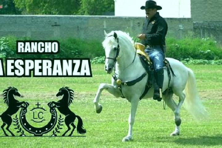 Riley, 29 — Escort in Las Esperanzas (El Ranchito), Mexico