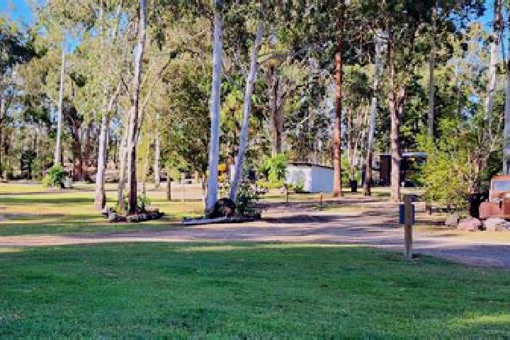 Riley, 29 — Escort in Pie Creek, Australia