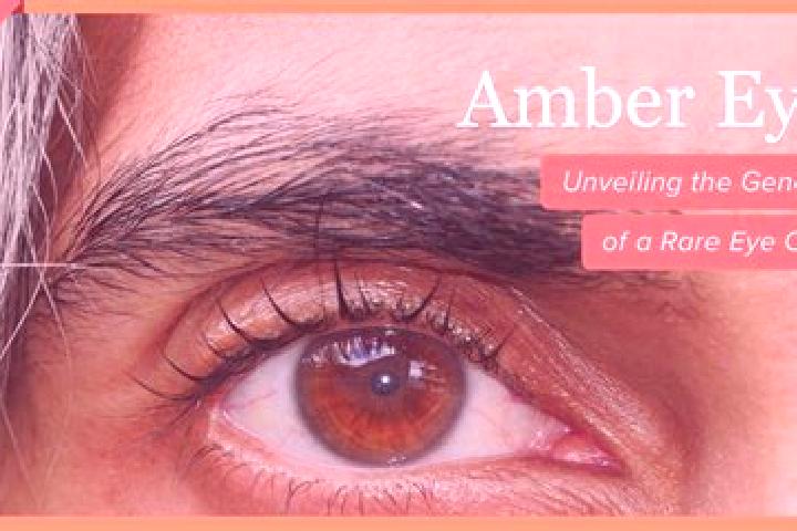 Riley, 30, a black amber-eyed mediterranean companion based in Obrazow. Offering Overnight, CIM, Striptease, Party Girl. Available for incall and outcall, ov...