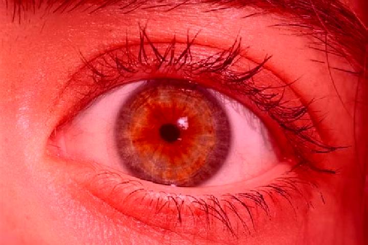 Riley, 30, a red hazel-eyed middle eastern companion based in Bolingit. Offering Overnight, Domination, Travel Companion. Available for incall and outcall, d...