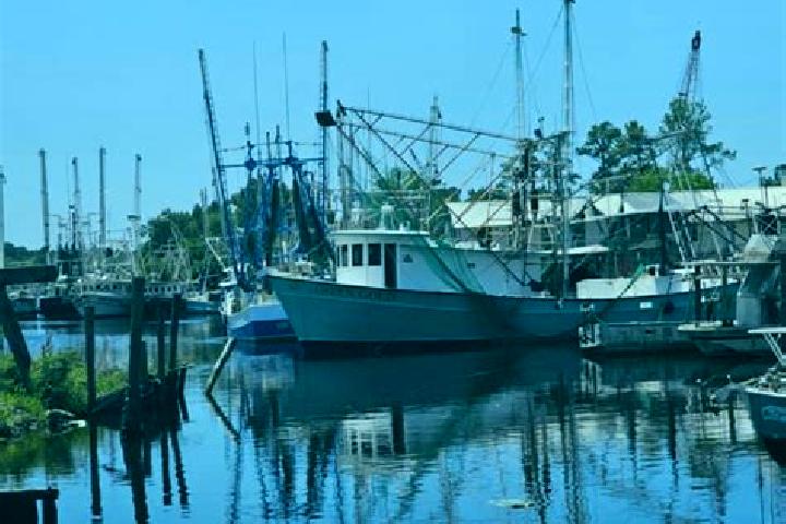 Riley, 30 — Escort in Bayou La Batre, United States