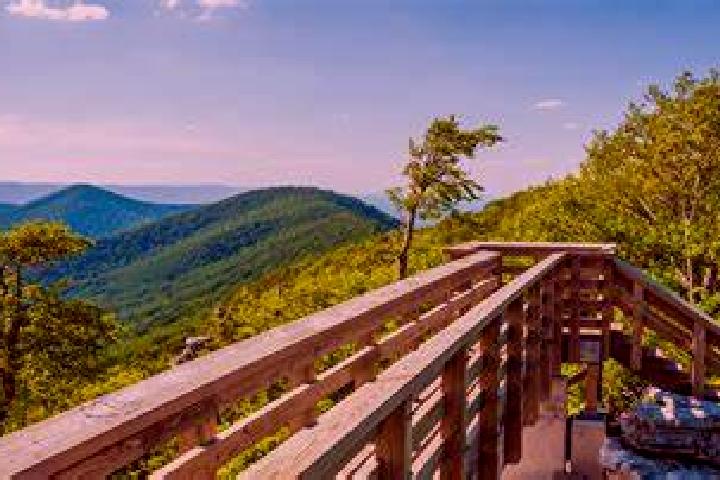 Riley, 30 — Escort in Charlottesville, United States