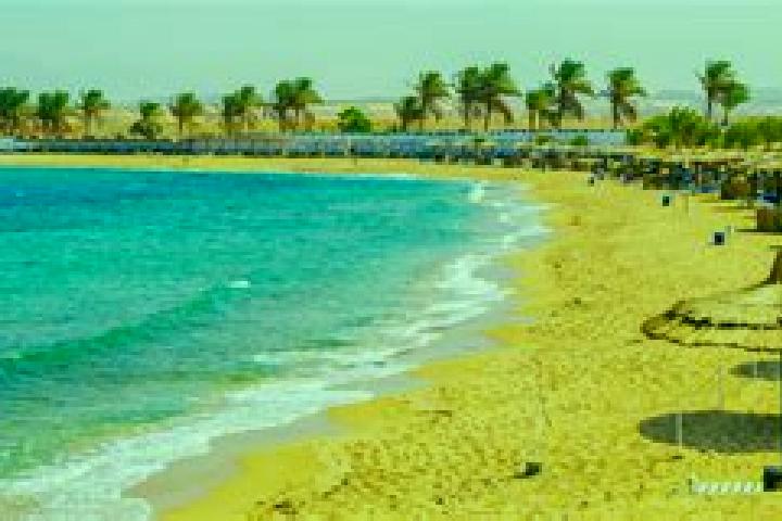 Riley, 30 — Escort in Safaga, Egypt