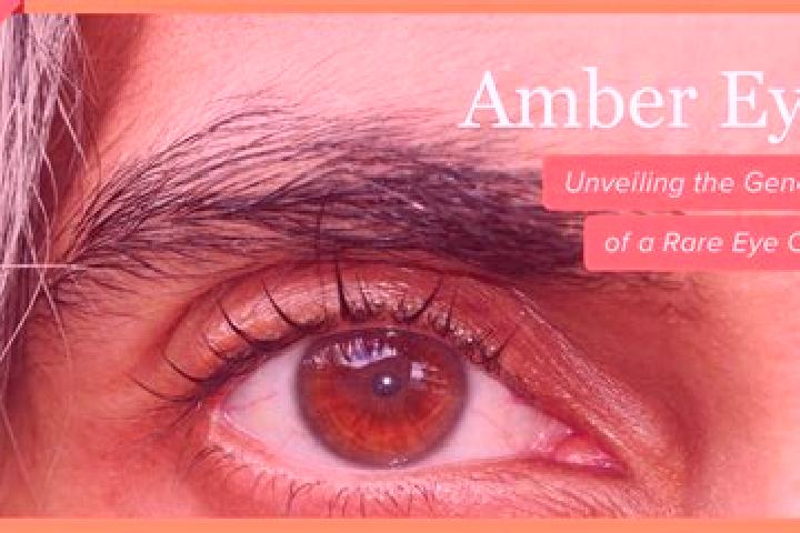 Riley, 31, a black amber-eyed indian companion based in San Salvador. Offering Erotic Massage, GFE, Roleplay, Couples. Available for incall and outcall, day ...