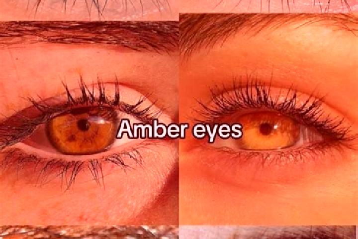 Riley, 31, a chestnut amber-eyed european companion based in Tenamaxtepec. Offering Tantra, BDSM, Girlfriend Experience. Available for incall and outcall, da...