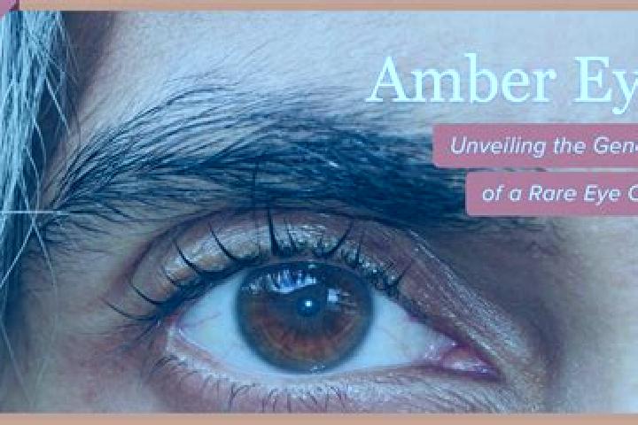 Riley, 31, a red amber-eyed mixed companion based in Freiburg. Offering Tantra, Party Girl, Deep French Kissing, Fetish. Available for incall and outcall, ov...