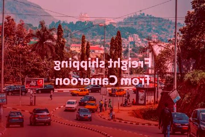 Riley, 31 — Escort in Bamendjou, Cameroon