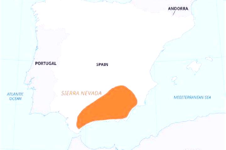 Riley, 31 — Escort in Beamud, Spain