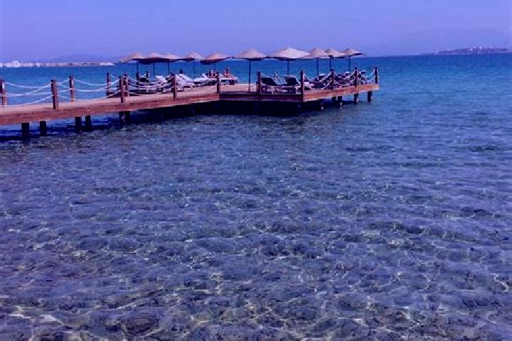 Riley, 31 — Escort in Boyalik, Turkey