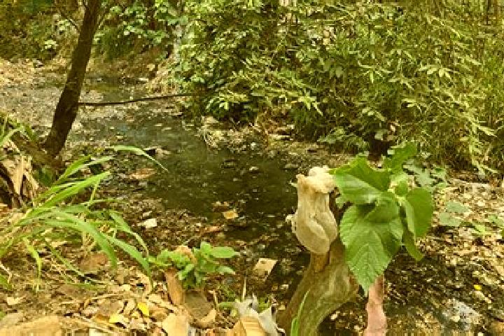 Riley, 31 — Escort in Hato de la Higuera, Mexico