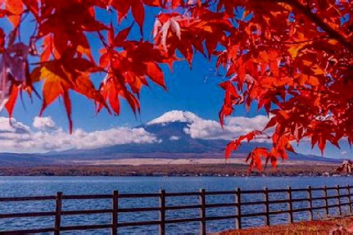 Riley, 31 — Escort in Myoden, Japan