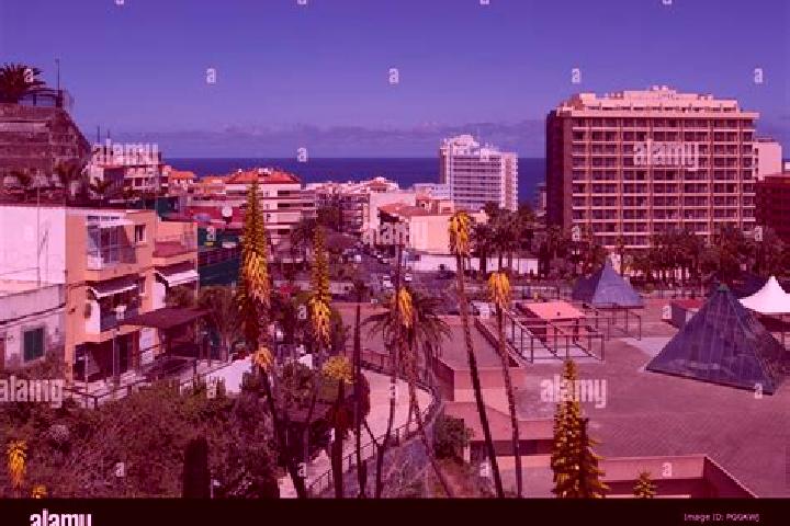 Riley, 31 — Escort in Puerto de la Cruz, Spain