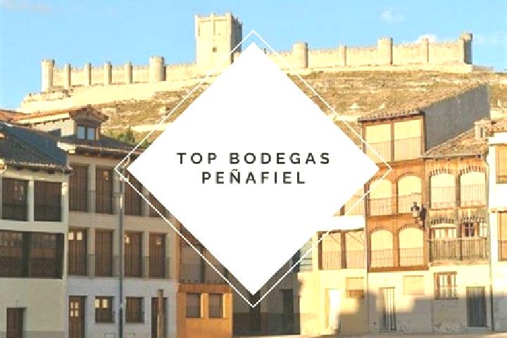 Riley, 31 — Escort in Torre de Penafiel, Spain