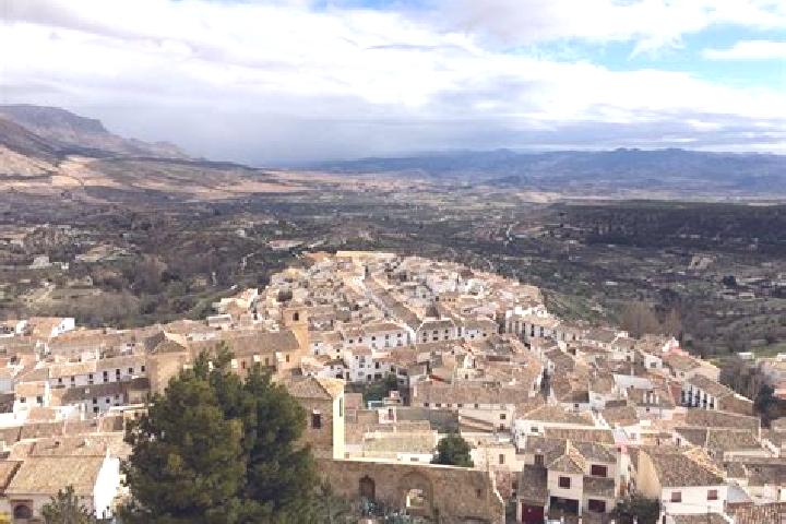 Riley, 31 — Escort in Velez-Blanco, Spain