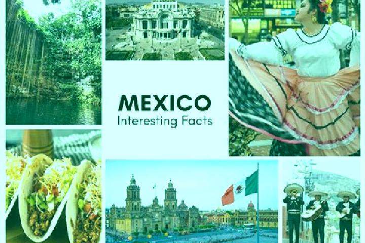 Riley, 31 — Escort in Xonotzintla, Mexico