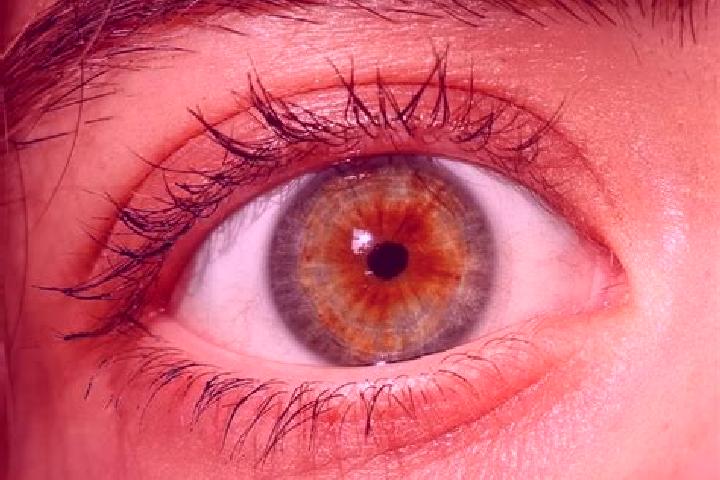 Riley, 32, a red hazel-eyed slavic companion based in Cela. Offering Domination, A-Level, GFE, Striptease, Tantra. Available for incall and outcall, day and ...