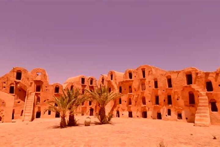 Riley, 32 — Escort in Ksar el Ababsa, Tunisia