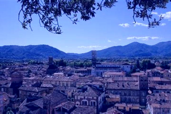 Riley, 32 — Escort in Orentano, Italy