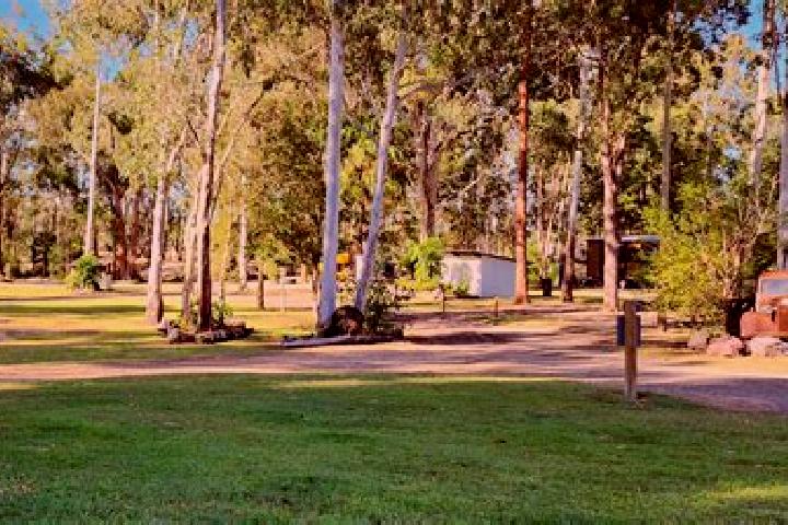 Riley, 32 — Escort in Pie Creek, Australia