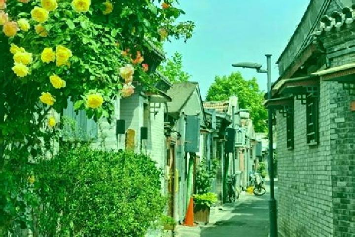 Riley, 33 — Escort in Beiling, China
