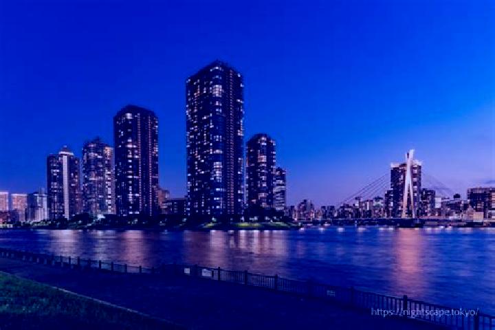 Riley, 33 — Escort in Etchujima, Japan