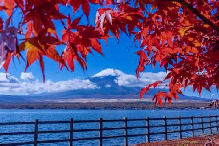 Riley, 33 — Escort in Katagiri, Japan