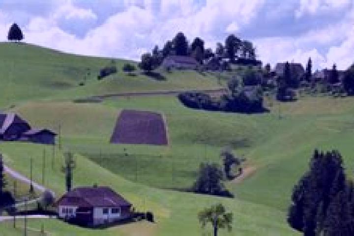 Riley, 33 — Escort in Trachselwald, Switzerland