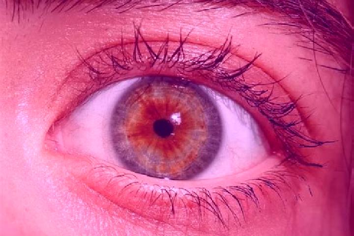 Riley, 34, a red hazel-eyed european companion based in Colina de los Pajaros. Offering Overnight, Duos, 69. Available for incall and outcall, day and evenin...