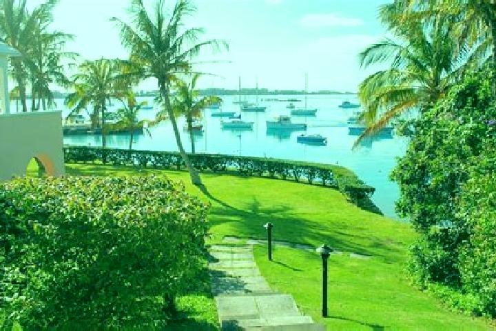 Riley, 34 — Escort in Paget Parish, Bermuda