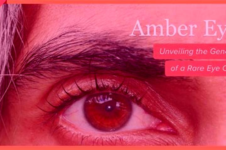 Riley, 35, a black amber-eyed mediterranean companion based in Nommern. Offering A-Level, Duos, Overnight. Available for incall and outcall, day and evening ...